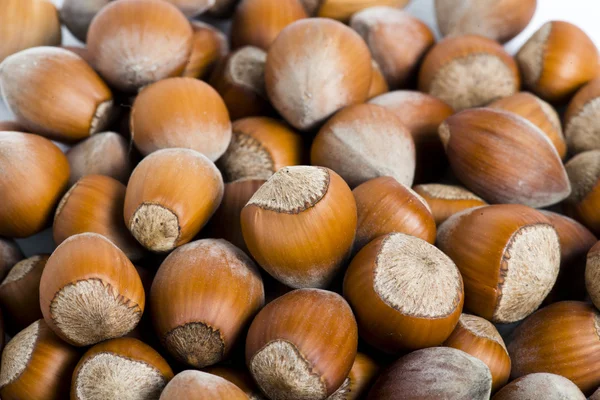 Verse bijgesneden hazelnoten als voedsel achtergrond — Stockfoto