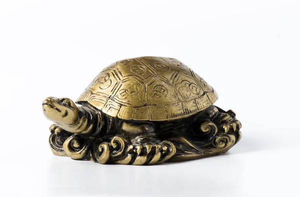 Feng shui altın metal kaplumbağa üzerinde beyaz