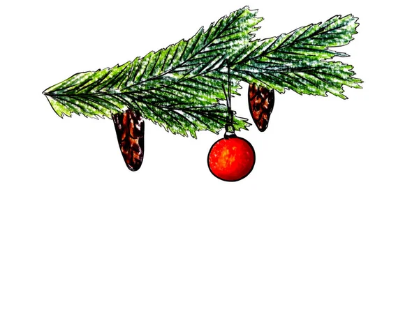 圣诞树枝 有圆锥 圣诞球画 有彩色铅笔 白色背景隔离 — 图库照片
