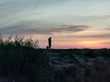 Gölge insanlar ve köpekler plaj boyunca gün batımında