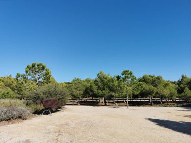 Uzun yürüyüş, parkta bir patika.