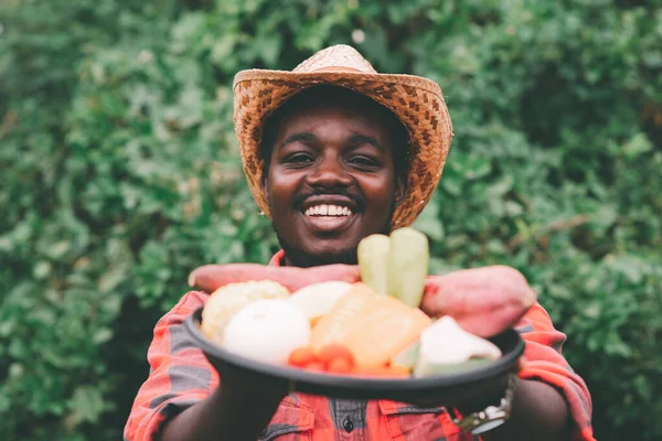 Африканський Фермер Тримає Пакет Овочів Органічні Овочі Готові Служби Салаті — стокове фото