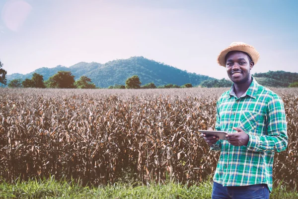 Африканський Фермер Використовує Планшет Дослідного Заводу Органічному Сільському Господарстві Або — стокове фото