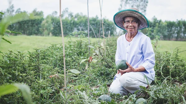 Asiatic Bătrân Femeie Pălărie Lucru Grădină Zâmbet Fericit — Fotografie, imagine de stoc