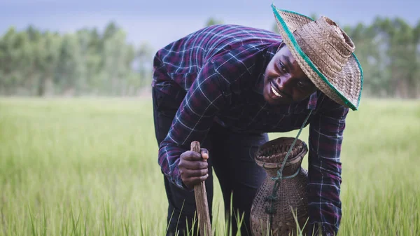 African Farmer Happily Working Cultivating His Farm Holding Agricultural Tools — Stock Photo, Image