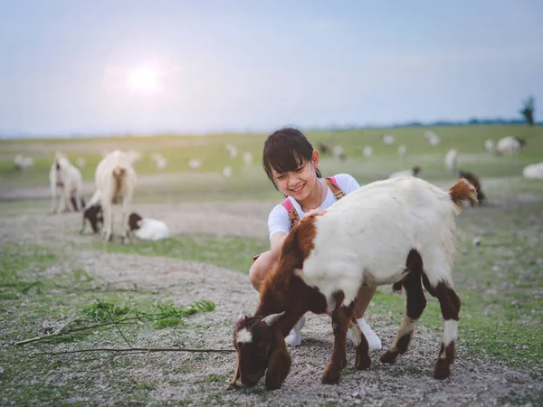 Asian Girl Feeding Goats Field Smiley Face Happy Concept Children — Foto de Stock