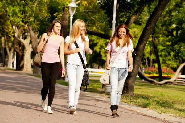 Felices jóvenes estudiantes de secundaria Imagen de stock