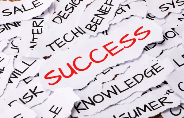 Concetto di successo — Foto Stock