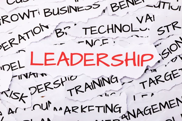 Concetto di leadership — Foto Stock