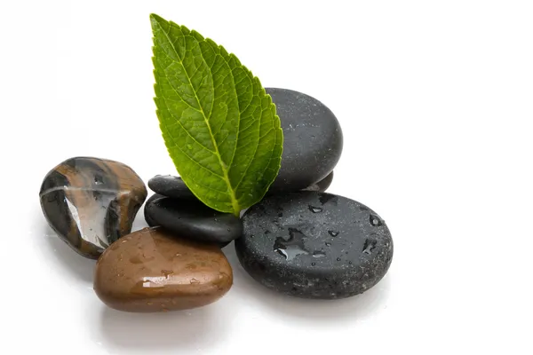 Pebbles and green leaf — Stock Photo, Image