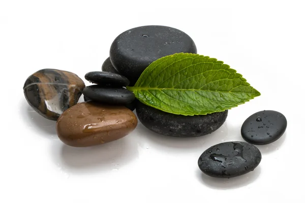 Pebbles and green leaf — Stock Photo, Image