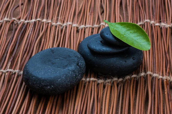 Guijarros y hoja verde — Foto de Stock