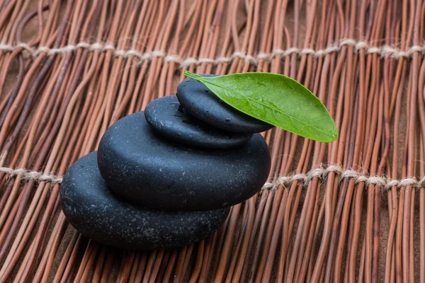 Pebbles and green leaf — Stock Photo, Image