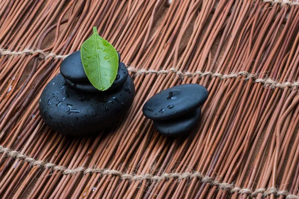 Pebbles and green leaf — Stock Photo, Image