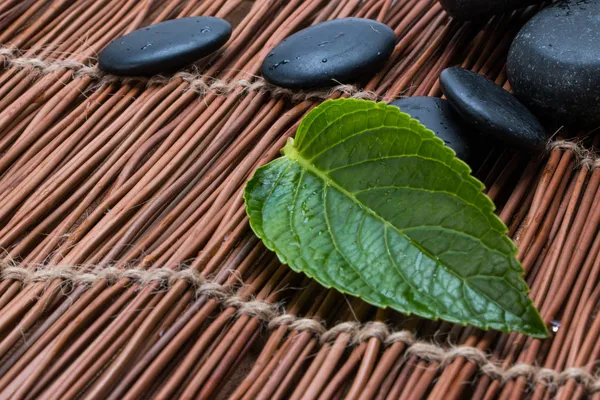 Pebbles and green leaf — Stock Photo, Image