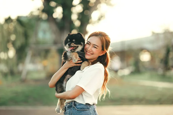 Happy asian woman playing with dog on the park in sunset light, summer vacation.