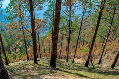 Tehri lake surrounded by mountains in Uttarakhand, india, Tehri Lake is an artificial dam reservoir. Tehri Dam, the tallest dam in India and Tehri dam is Asia's largest man-made lake.
