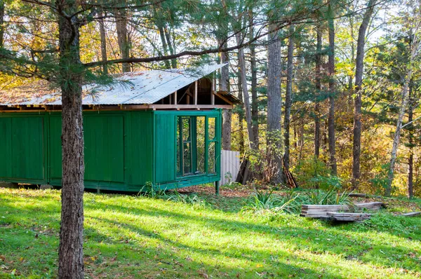 森のモミの木の間の緑の家 — ストック写真