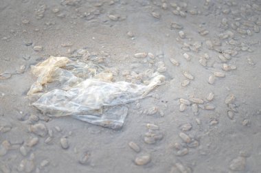 Kullanılmış plastik torba ve Salp Jelly topları bir plajın deniz kıyısına atılır. Kumsaldaki kirlilik..