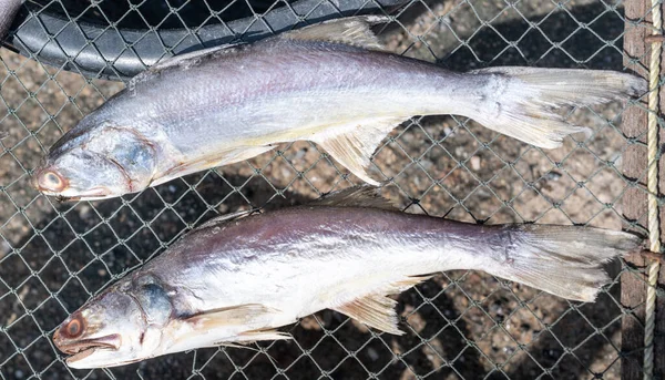 Dried salted fish are put on the grill tray and prepared to sell at the seafood market. The salted dried fish is for an ingredient for cooking, It's famous for local Thai Food.