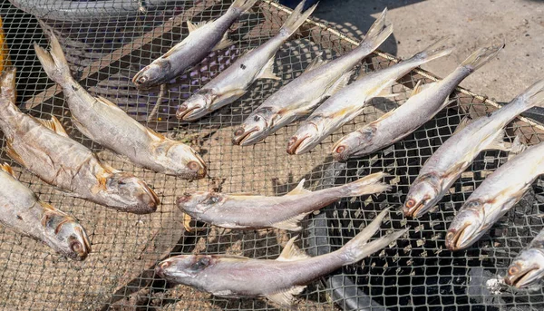 Dried salted fish are put on the grill tray and prepared to sell at the seafood market. The salted dried fish is for an ingredient for cooking, It\'s famous for local Thai Food.