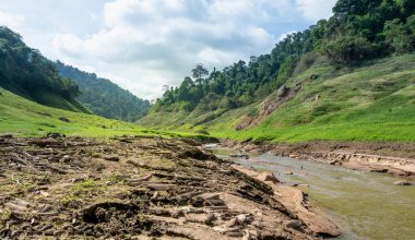 The scenic view of  Chong lom valley, Fresh and abundant in the national park a famous tourist attraction at Khun Dan Prakan Chon Dam, Nakorn Nayok province, Thailand