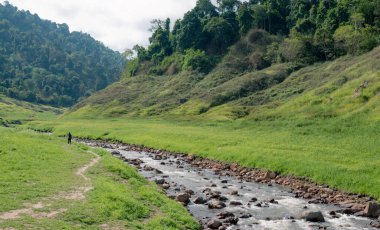 The scenic view of  Chong lom valley, Fresh and abundant in the national park a famous tourist attraction at Khun Dan Prakan Chon Dam, Nakorn Nayok province, Thailand