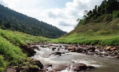 The scenic view of  Chong lom valley, Fresh and abundant in the national park a famous tourist attraction at Khun Dan Prakan Chon Dam, Nakorn Nayok province, Thailand