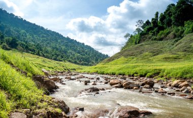 The scenic view of  Chong lom valley, Fresh and abundant in the national park a famous tourist attraction at Khun Dan Prakan Chon Dam, Nakorn Nayok province, Thailand