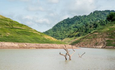The scenic view of  Chong lom valley, Fresh and abundant in the national park a famous tourist attraction at Khun Dan Prakan Chon Dam, Nakorn Nayok province, Thailand
