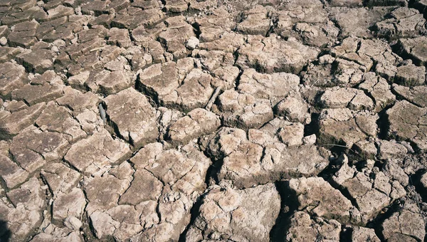 Dried Cracked Earth Soil Ground Texture Background Pattern Drought Lack — Stockfoto