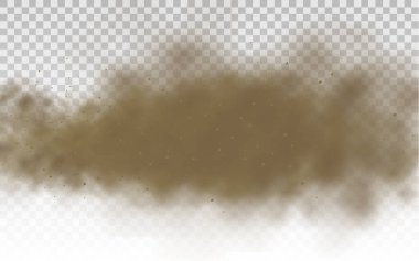 Uçan kum, kahverengi toz bulutu, rüzgar, kum fırtınası.