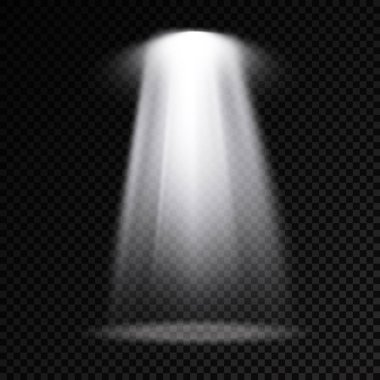 Spot ışığı, projektör ışığı..