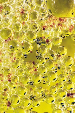 Betta savaşçı balığından bir kabarcık. Bir sürü yavru Betta kızartması içeriyor.