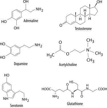 Chemical formulas of neurotransmitters and similar substances in human body clipart