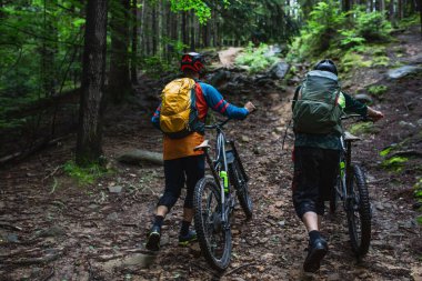 Ormanda bisiklet süren iki genç kadın.