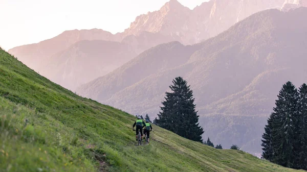 Dağlar ve ağaçlarla kaplı dağ manzarası