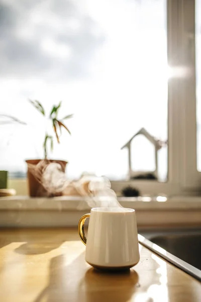 Gros Plan Une Tasse Thé Blanc Dans Café — Photo