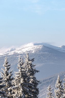 Karla kaplı ağaçlarla kaplı güzel kış manzarası