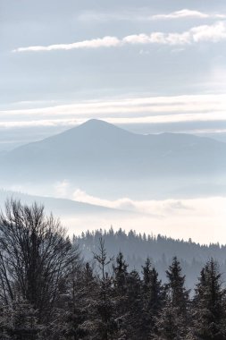 Arkasında bir dağ olan güzel bir manzara.