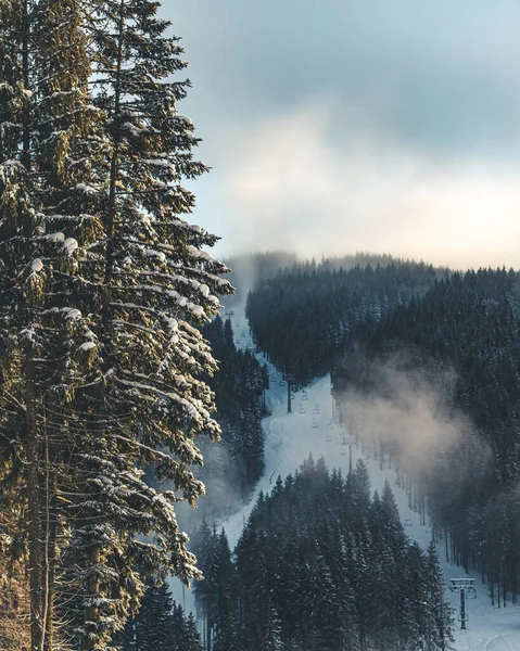 Karla kaplı ağaçlarla kaplı güzel kış manzarası