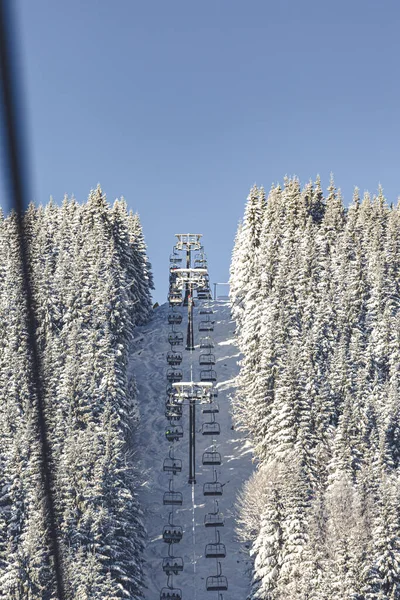 Karla kaplı ağaçlarla kaplı kış manzarası