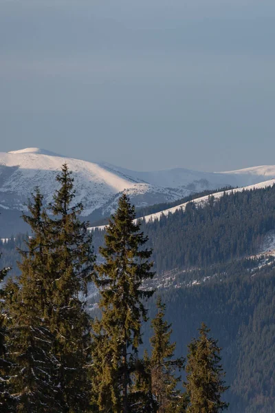 stock image beautiful view of the mountains in the winter