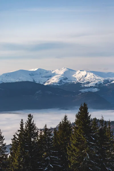 Kışın dağların güzel manzarası