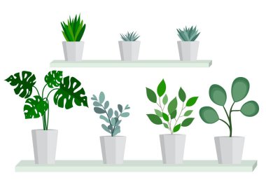 düz bitkiler vektör illüstrasyonu