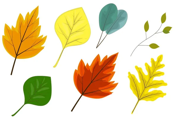 Illustration Vectorielle Feuilles Automne — Image vectorielle