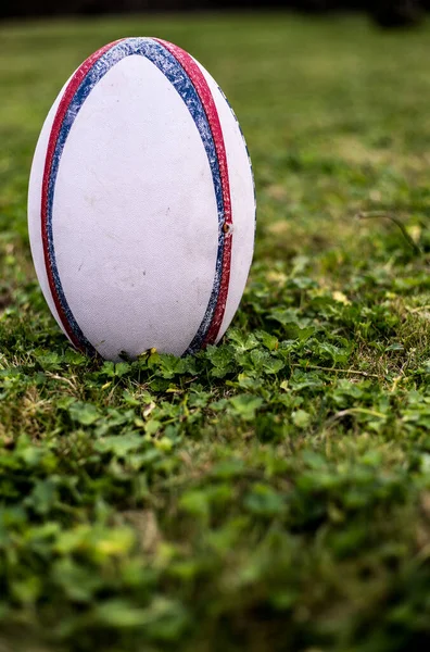 Rugby ball, Gilbert, on sports field with green grass for the game of rugby. Focus on ball, sports base at background.