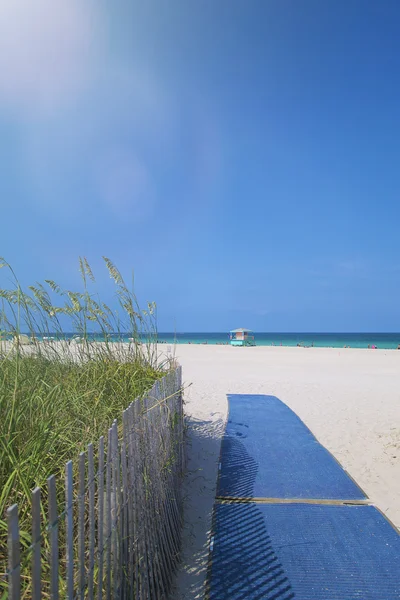 Tropical beach — Stock Photo, Image