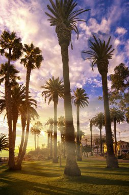 California Sunset
