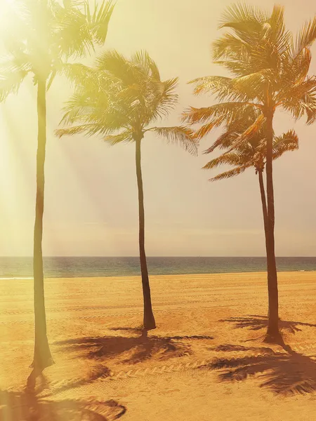 Fort Lauderdale Beach